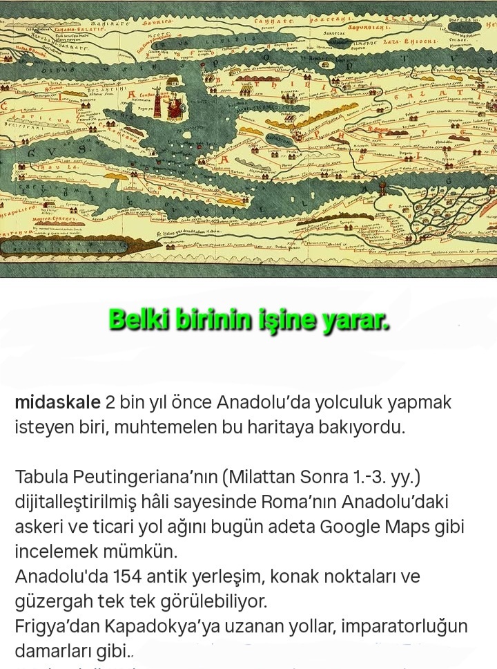 14171.jpg
