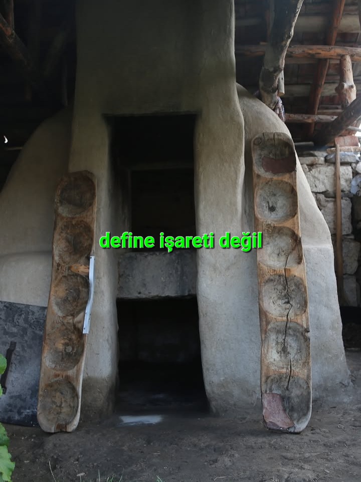 14183.jpg
