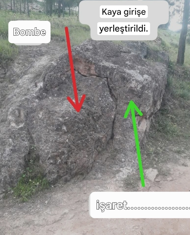 14187.jpg