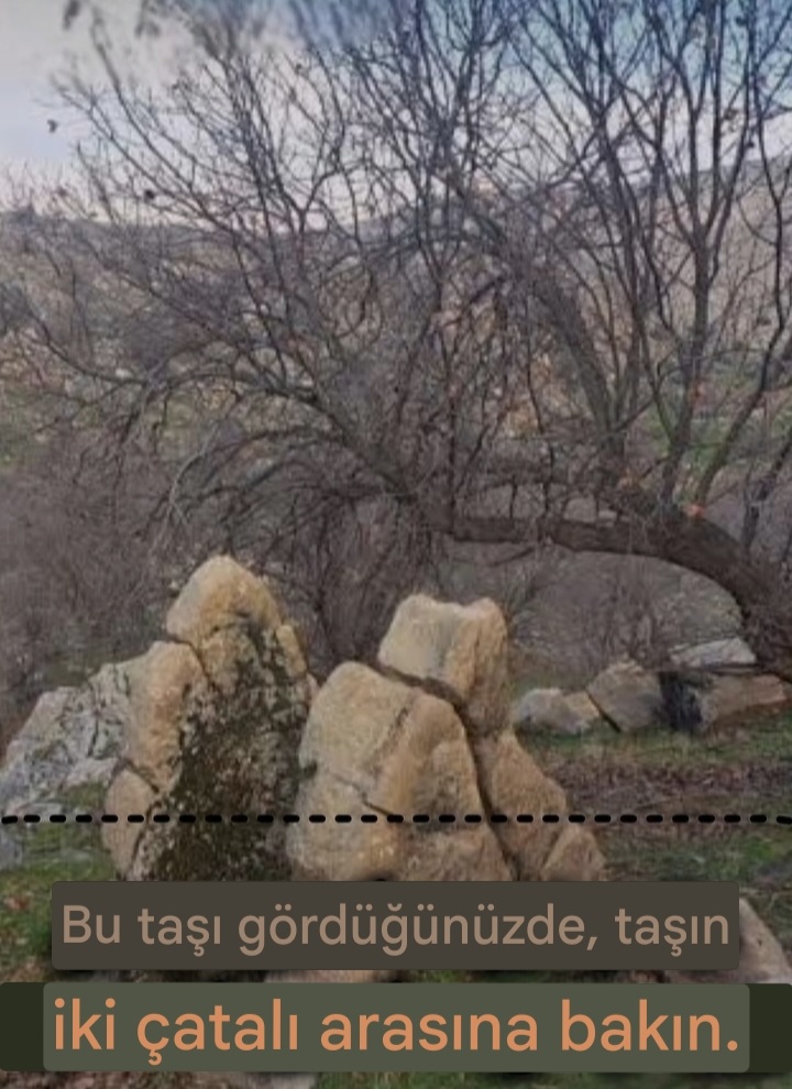 15856.jpg