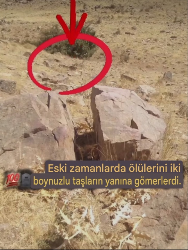 15870.jpg