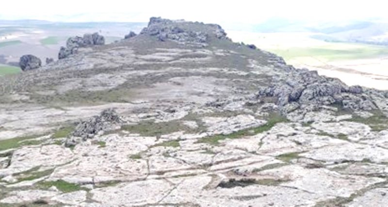 20200412_144742.jpg