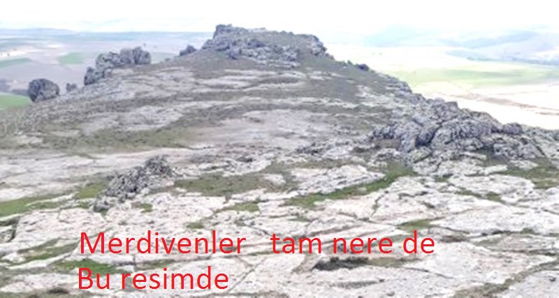 20200412_144742.jpg