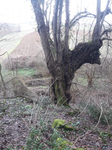 20210130_140738.jpg