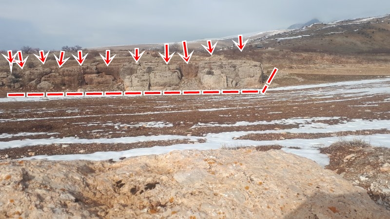 20210225_163032 (1).jpg