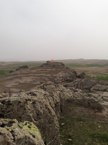 20210425_203445.jpg