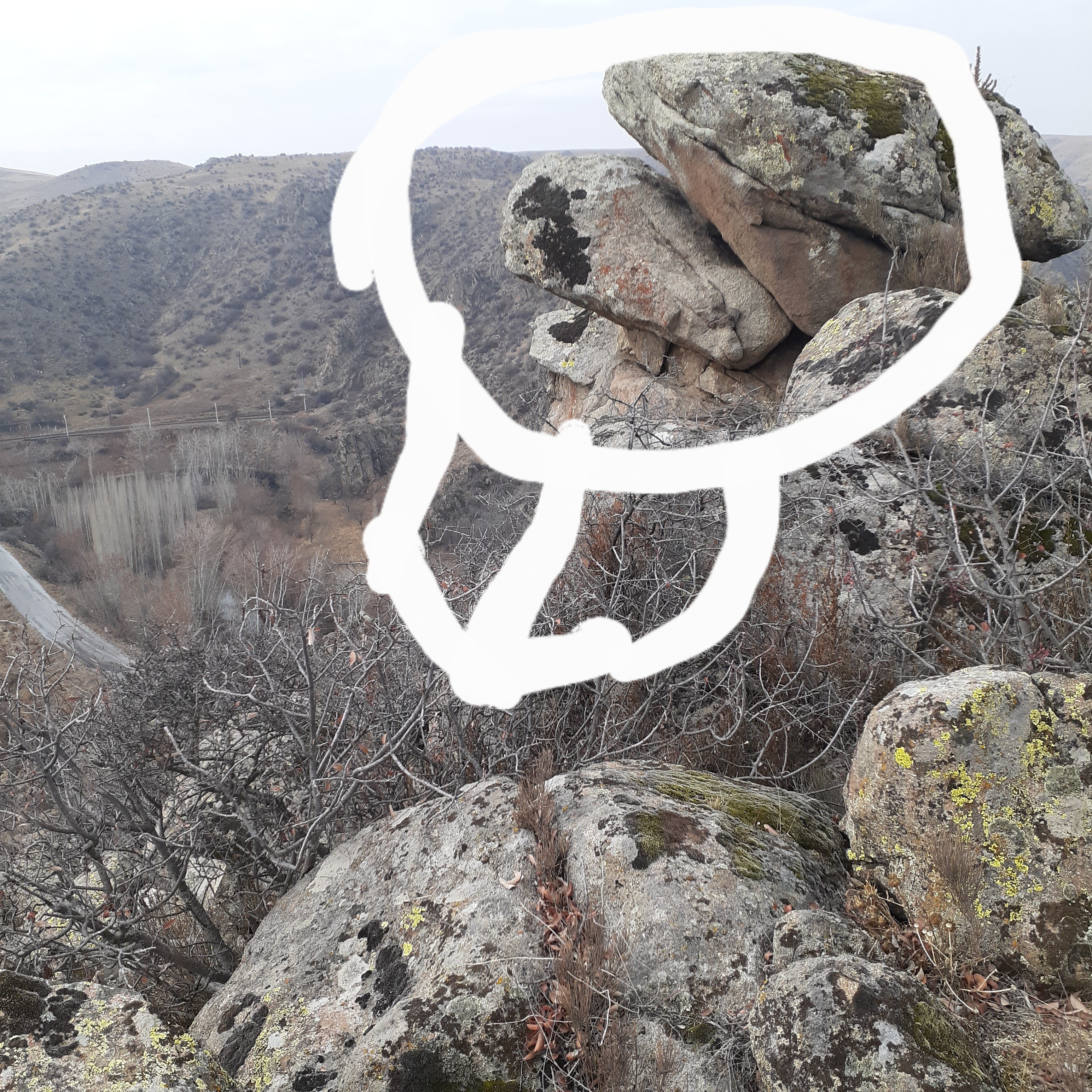 20221204_120856 (1).jpg