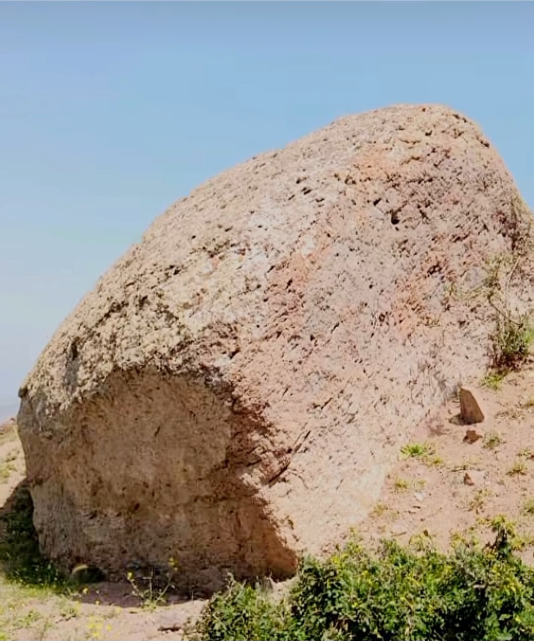 21563.jpg