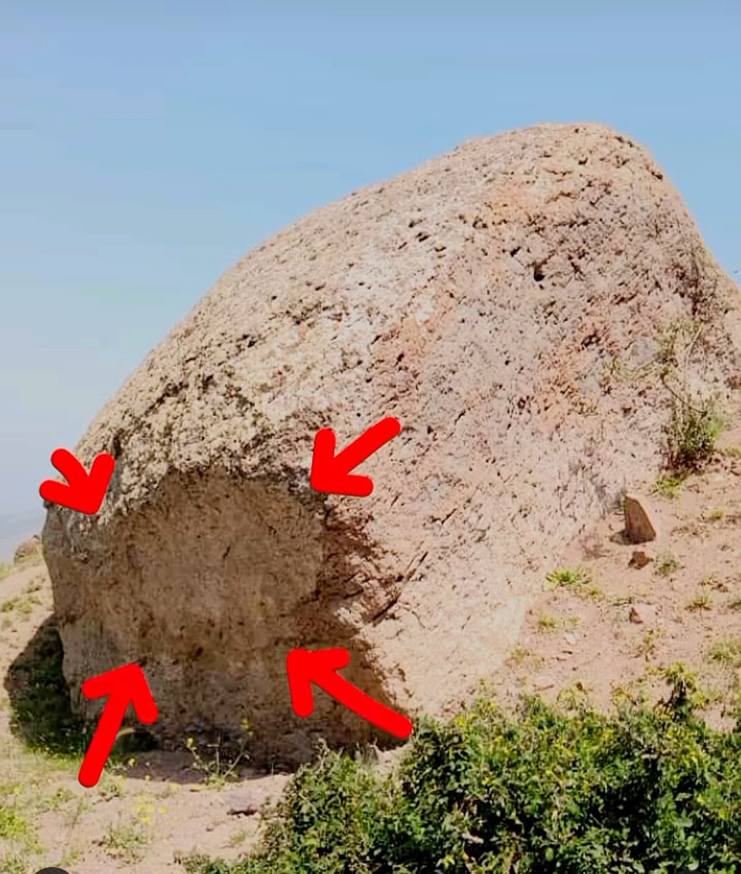 21565.jpg