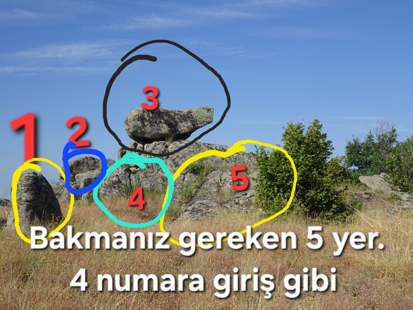 27538.jpg