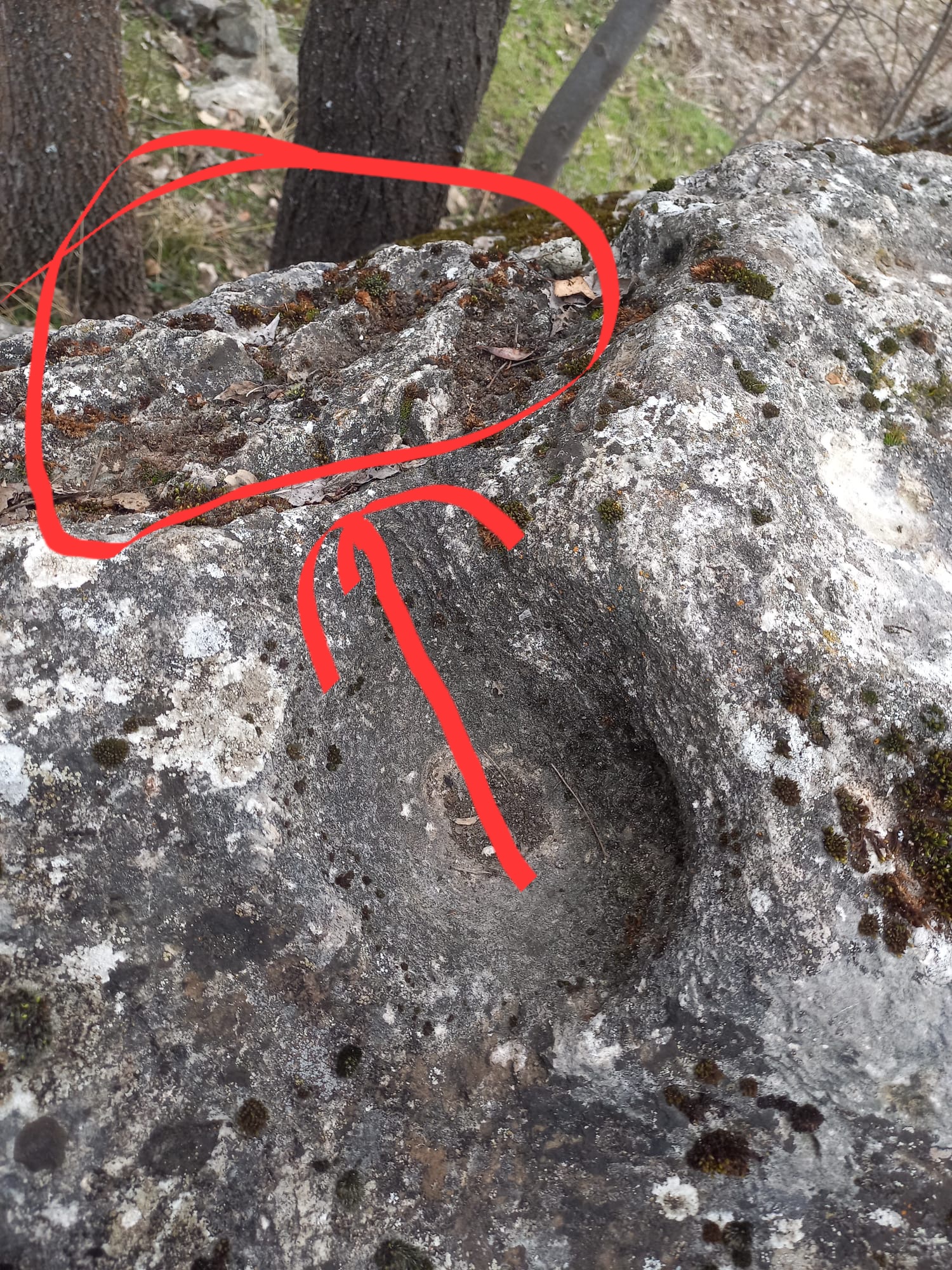 4233f93a-8cf5-45d8-ad1e-2309815a7625.jpeg