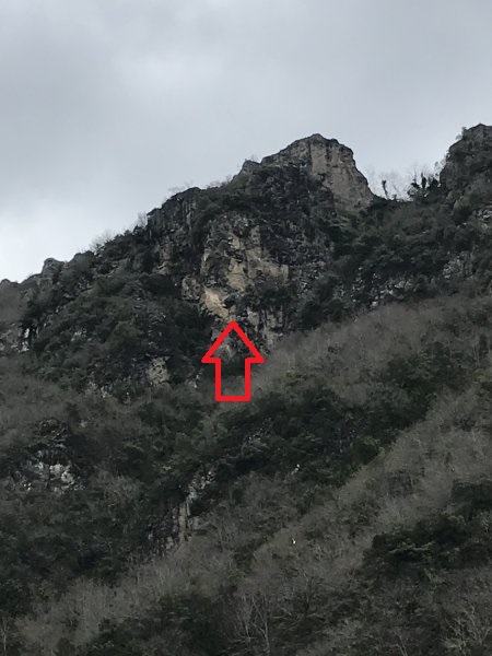 B1199A30-E3F7-4D4B-BA47-9B3417B0EF2F (1).jpeg