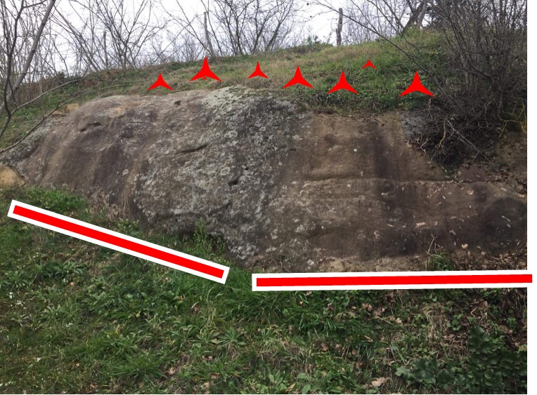 B998D025-CA0D-462E-9B9D-7179A332975C (1).jpeg