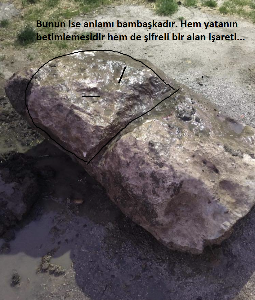 büst.png