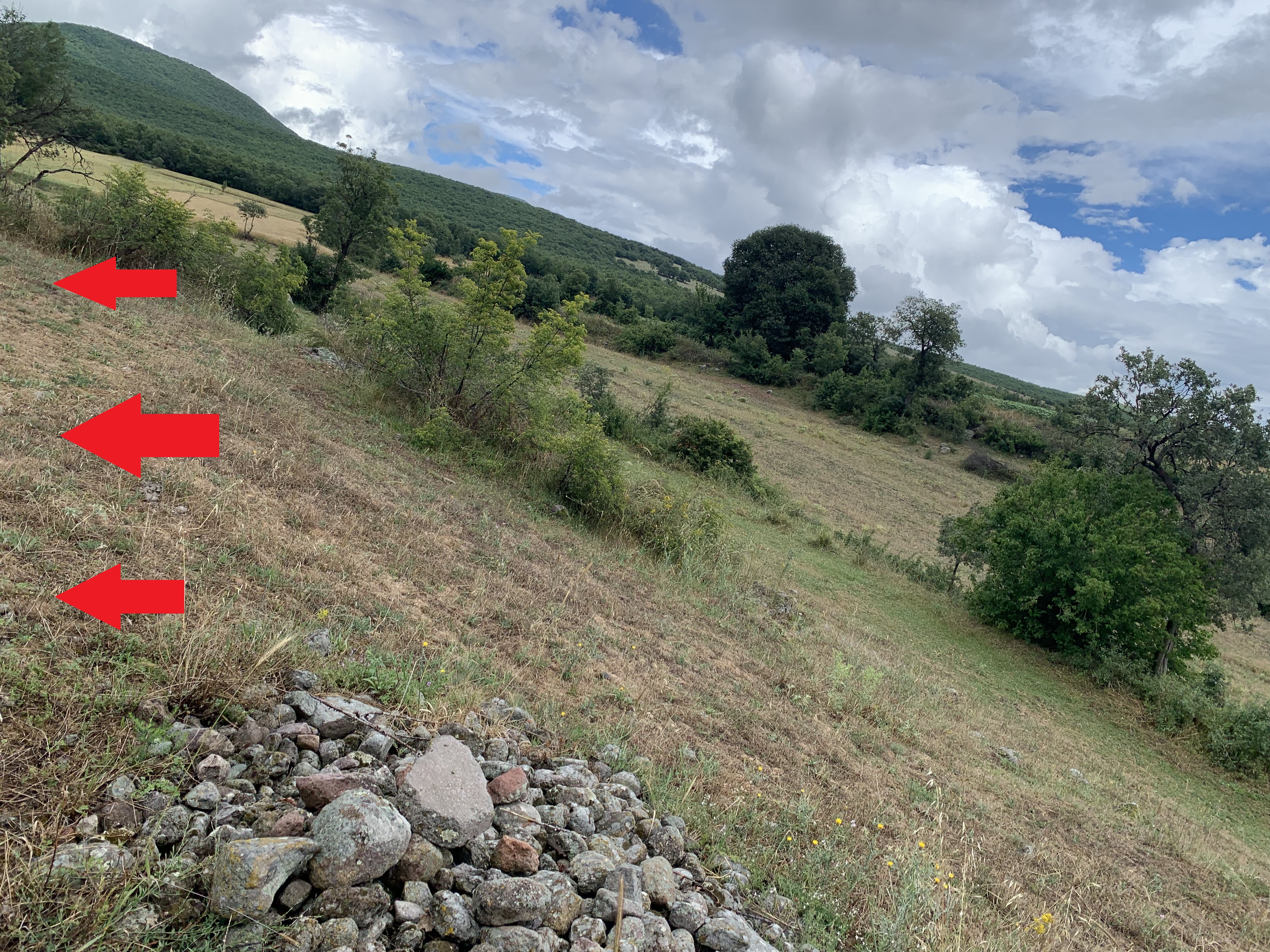 D89AFB79-6960-464A-B0D3-0AE7512192CC (1).jpeg