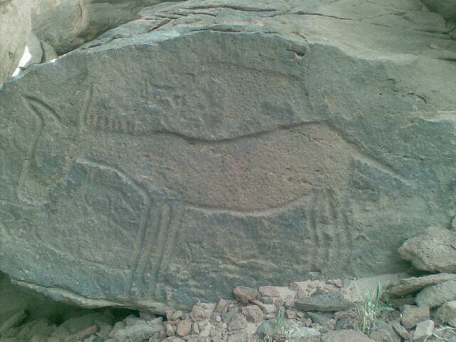 define-eşek (1).jpg