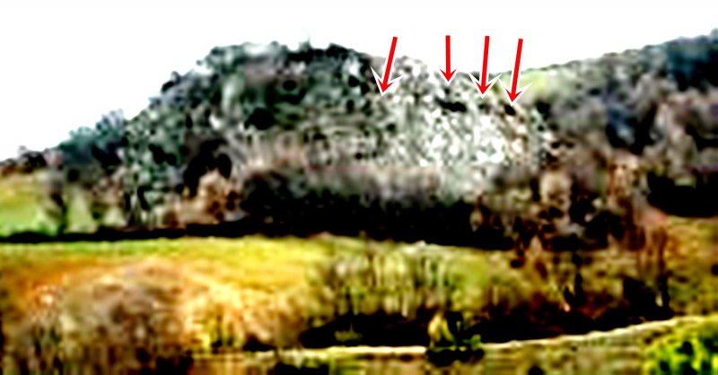 IMG-20210302-WA0000.jpg