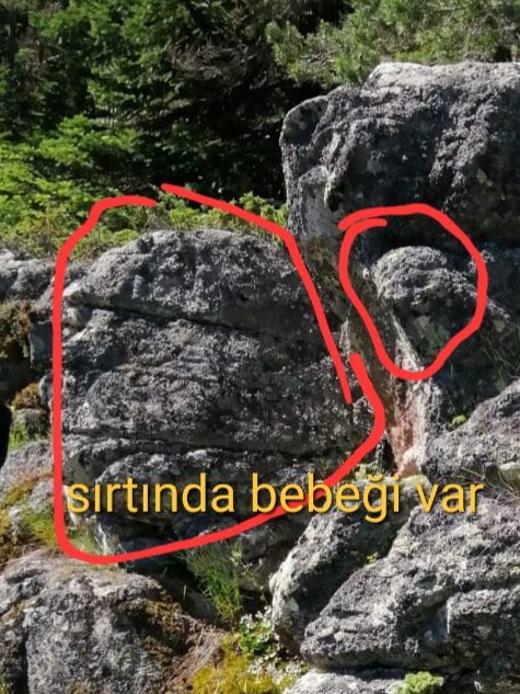 IMG-20230301-WA0002 (1).jpg