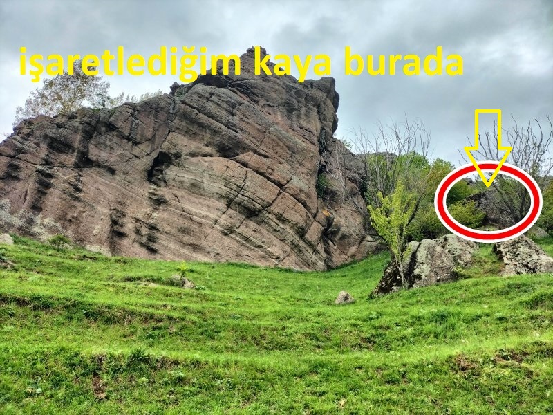 IMG20220524111312 (1).jpg