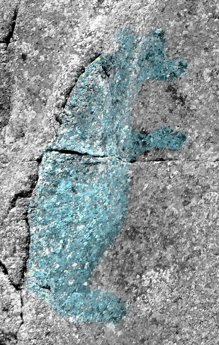 IMG_20180727_140049 (1).jpg