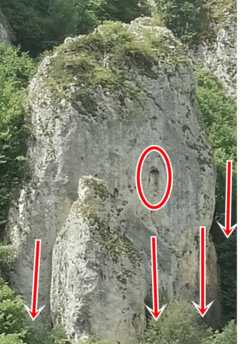 IMG_20220603_103025 (1).jpg