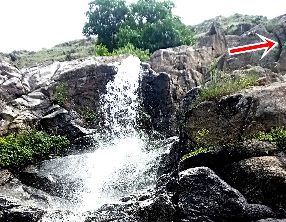 IMG_20220702_113559_396 (1).jpg