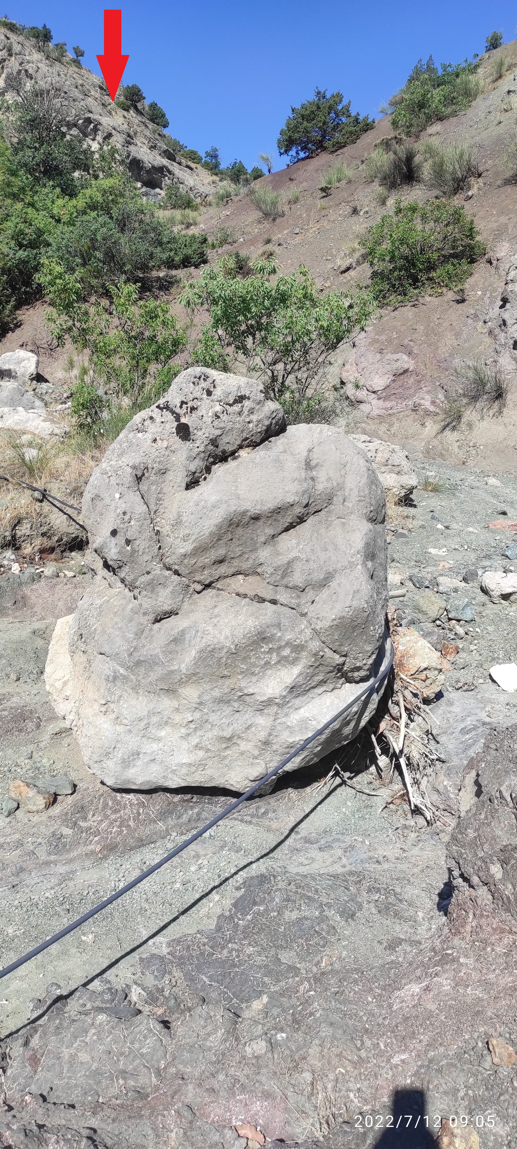 IMG_20220712_090503 (1).jpg