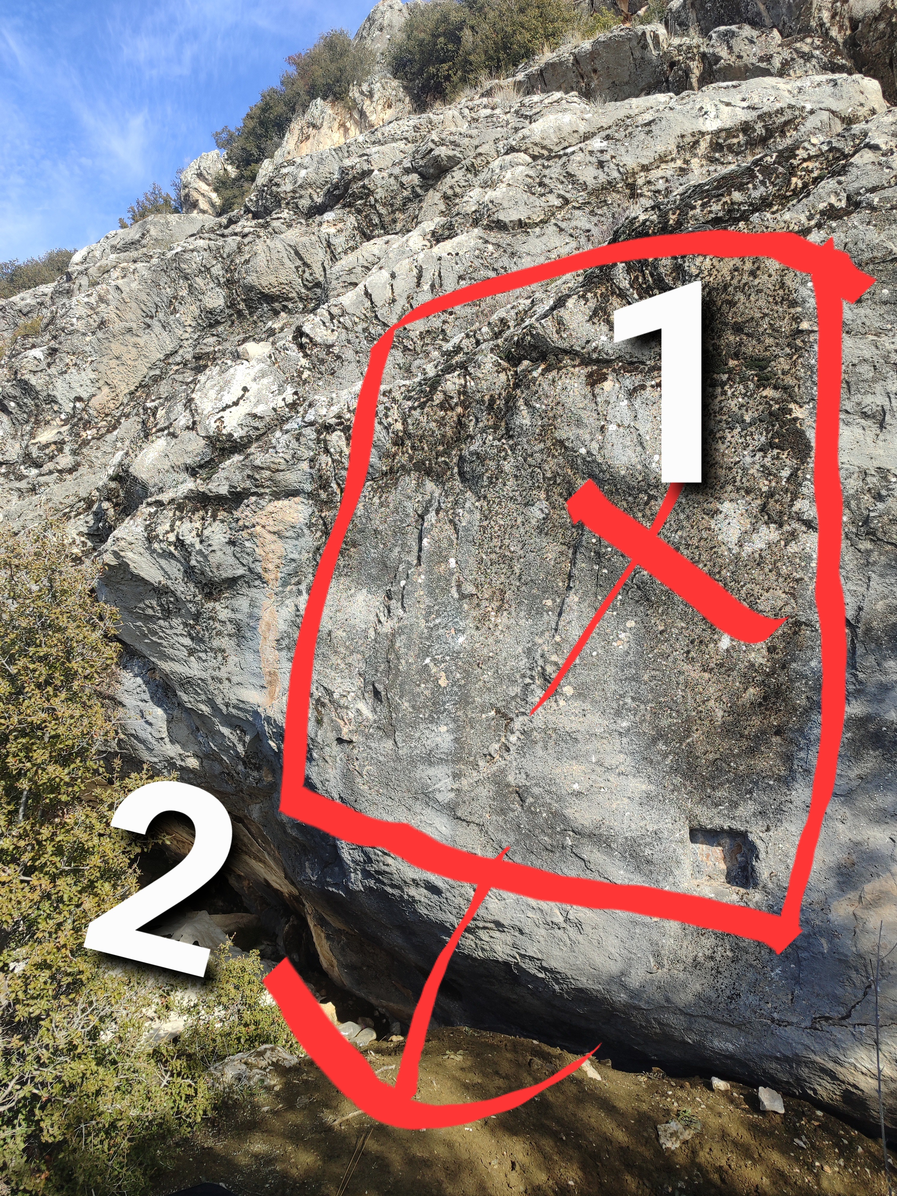 IMG_20250130_142251 (1).jpg