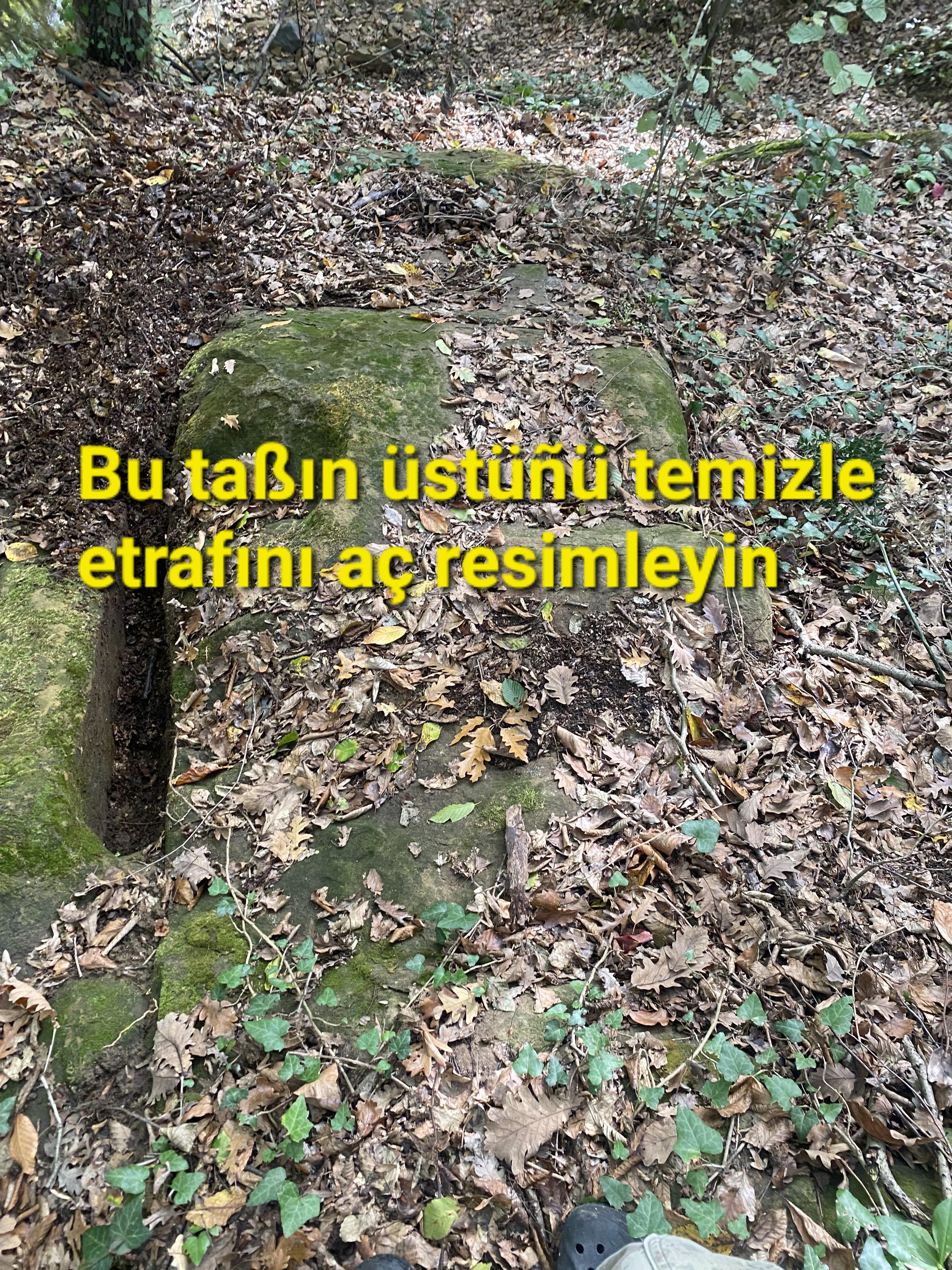 IMG_9190.jpeg