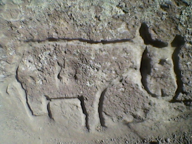 oyma-eşek-işareti (1).jpg