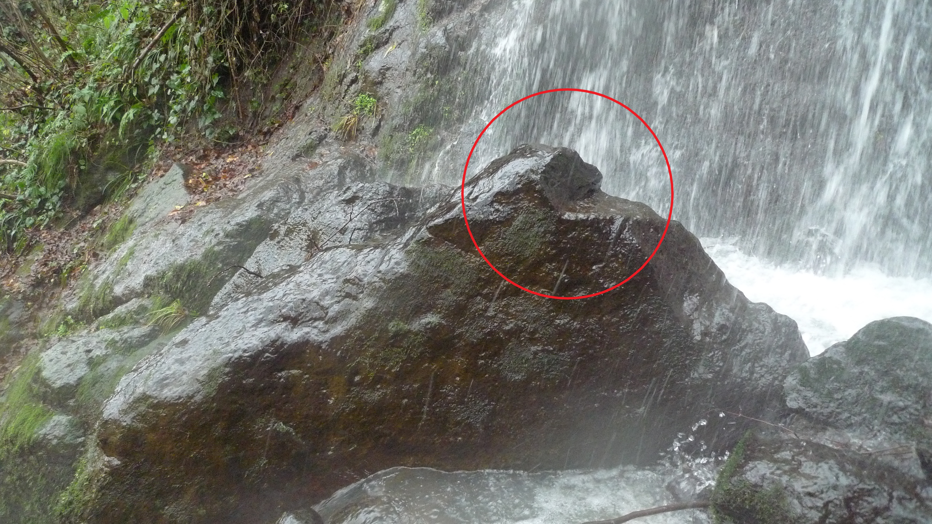 P1050982-2.png