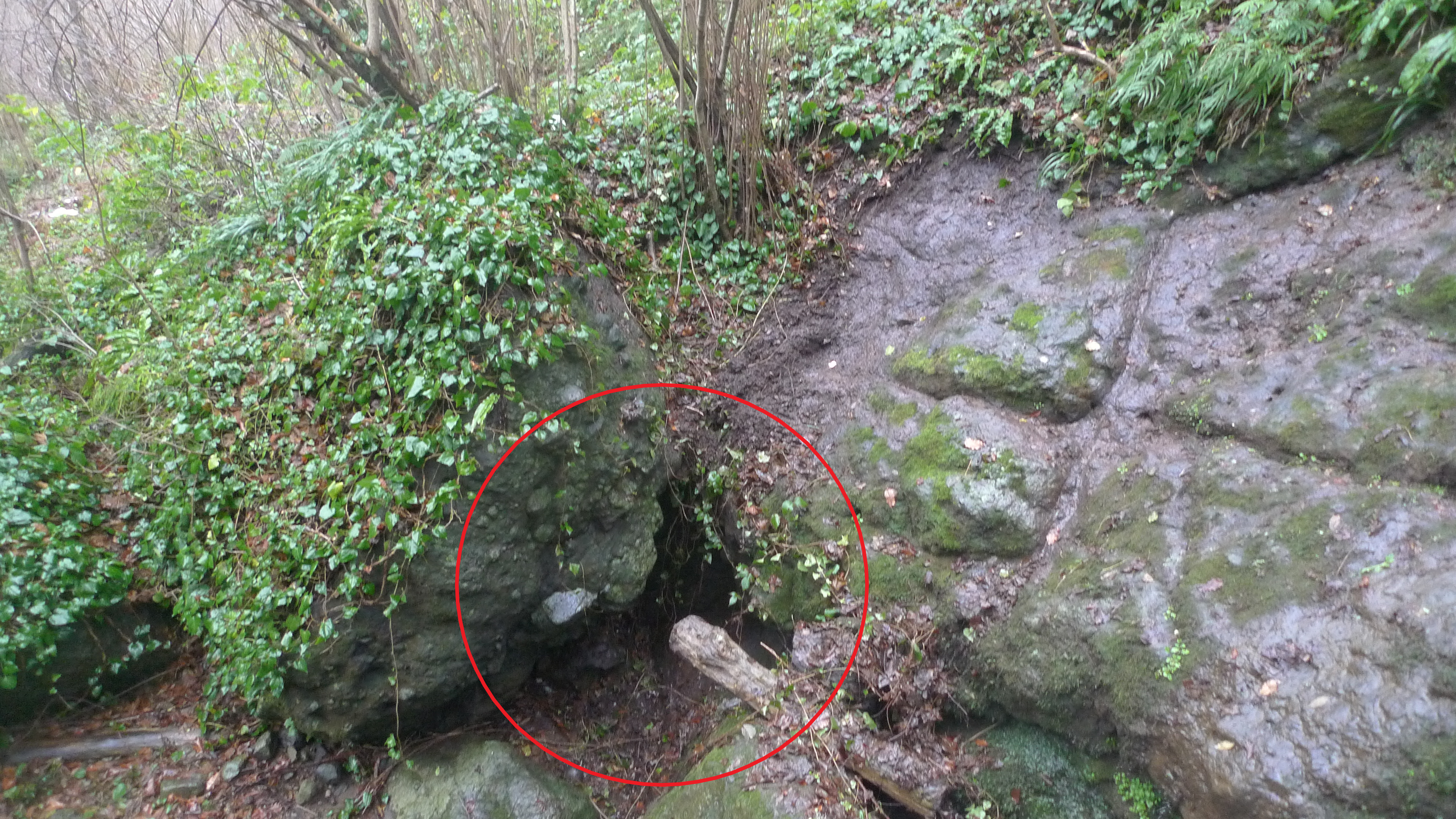 P1060013-2.png