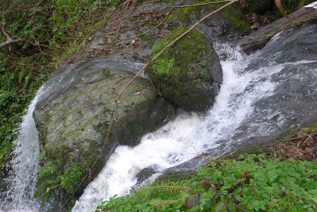 P1060046.jpg