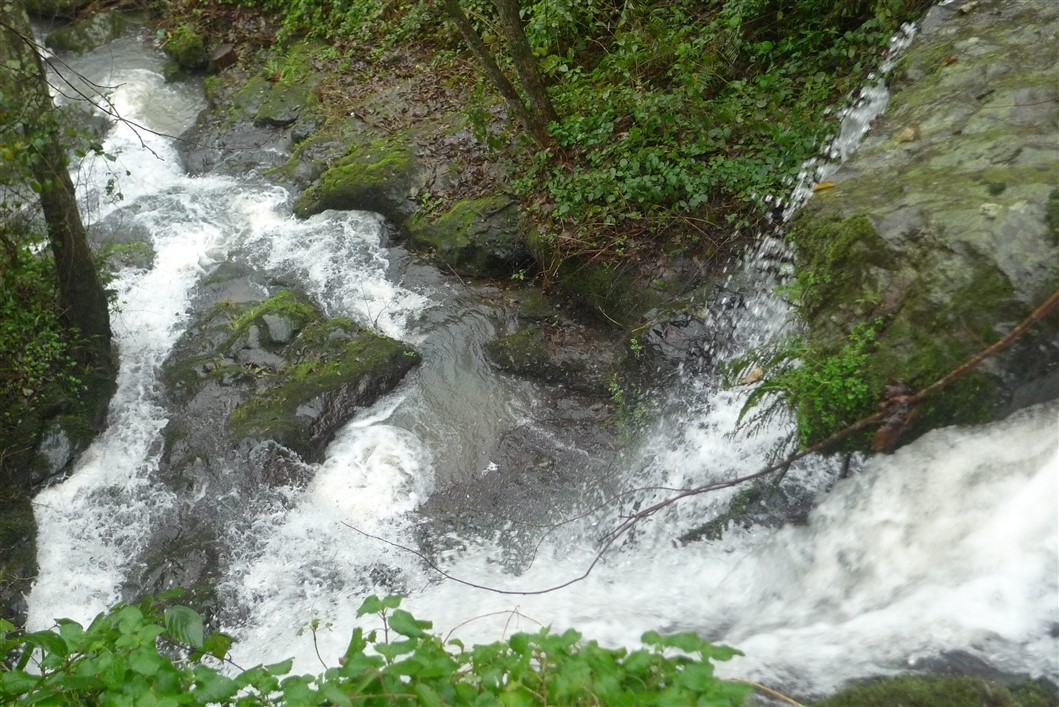 P1060048.jpg