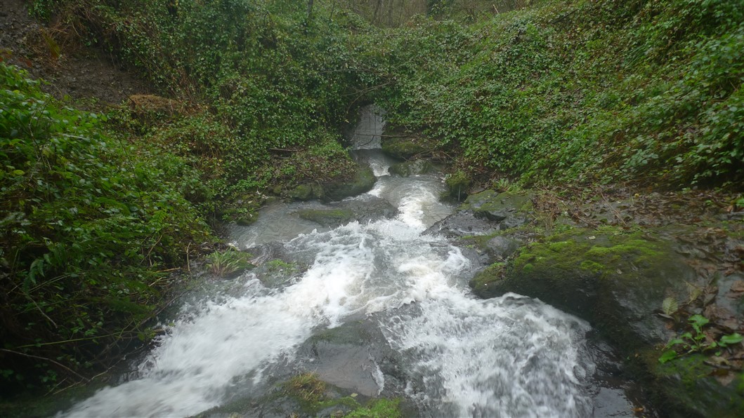 P1060055.jpg