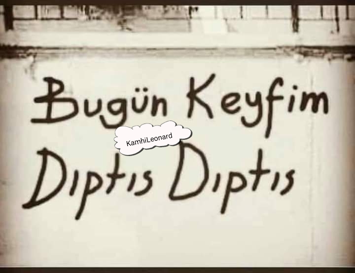 photo 35 10-3-26.jpg