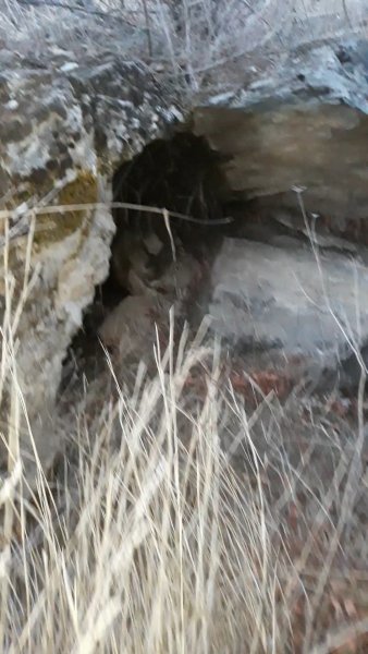 Screenshot_20210317-004921_Video Player.jpg