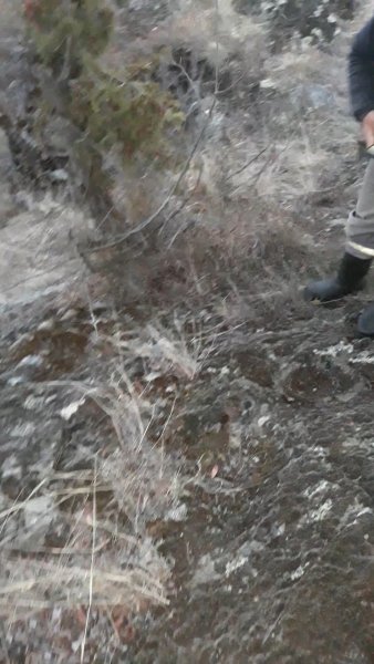 Screenshot_20210317-005045_Video Player.jpg