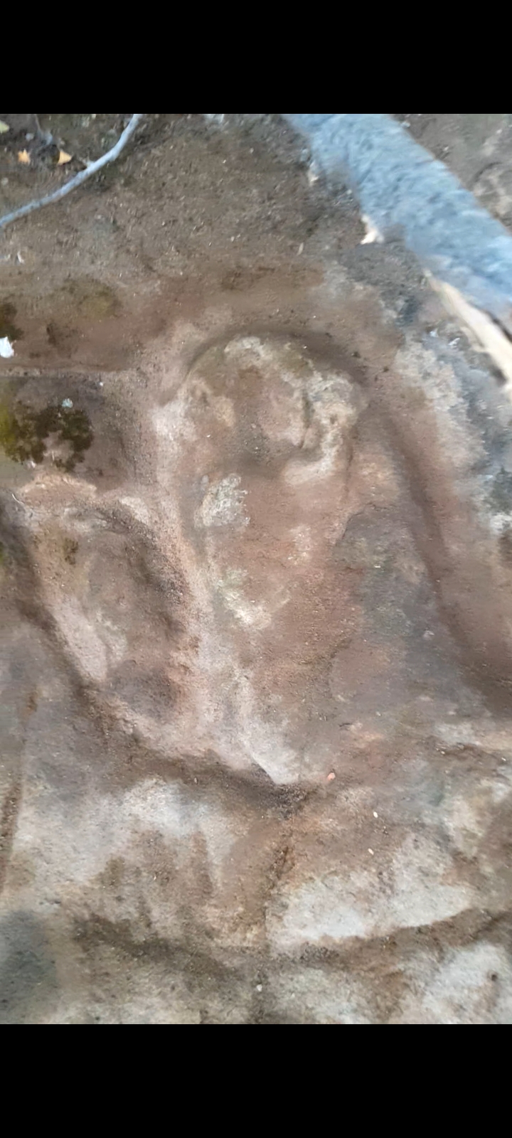 Screenshot_20220911-211927_Video Player.jpg