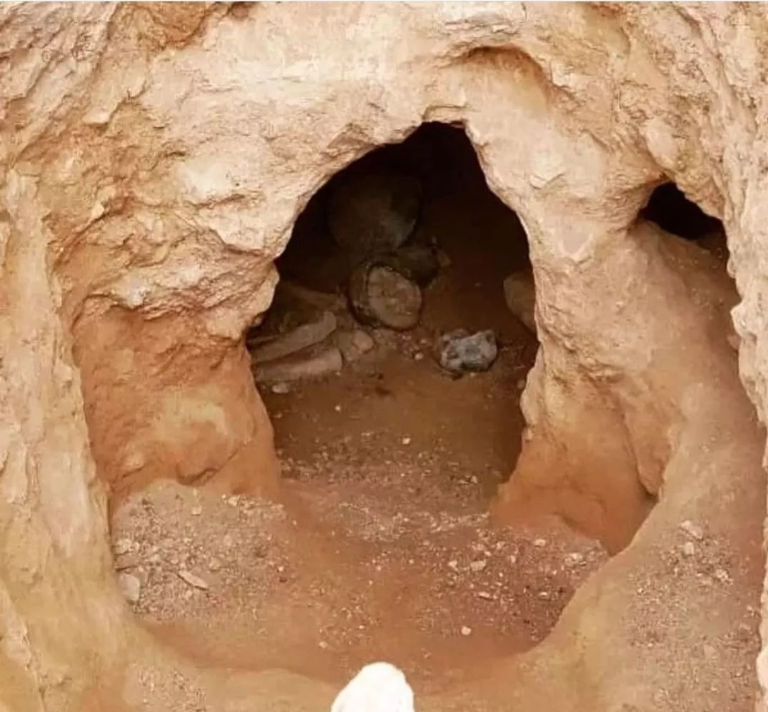 Screenshot_20221121-144441_Instagram.jpg