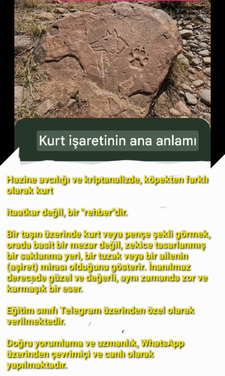 Screenshot_20260225-213837_Photo Editor.jpg