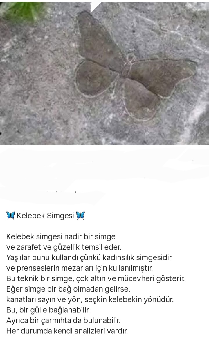 Screenshot_20260429-161951_Instagram.jpg