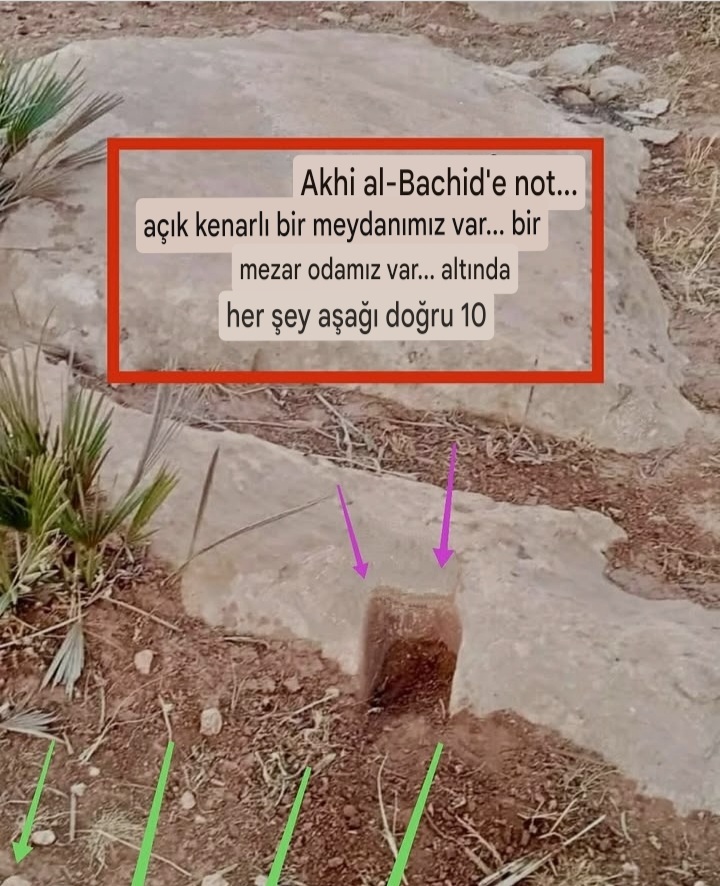 Screenshot_20260504-003919_Google.jpg