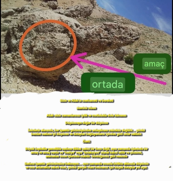 Screenshot_20260510-222249_Google.jpg