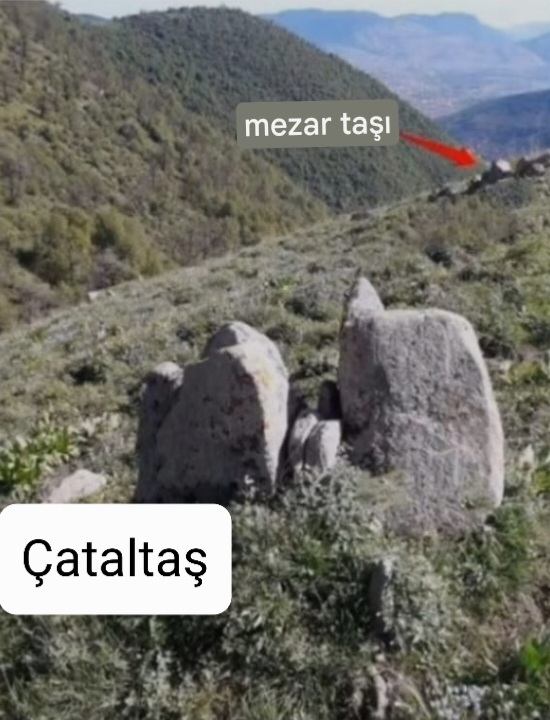 Screenshot_20260801-001948_Google.jpg