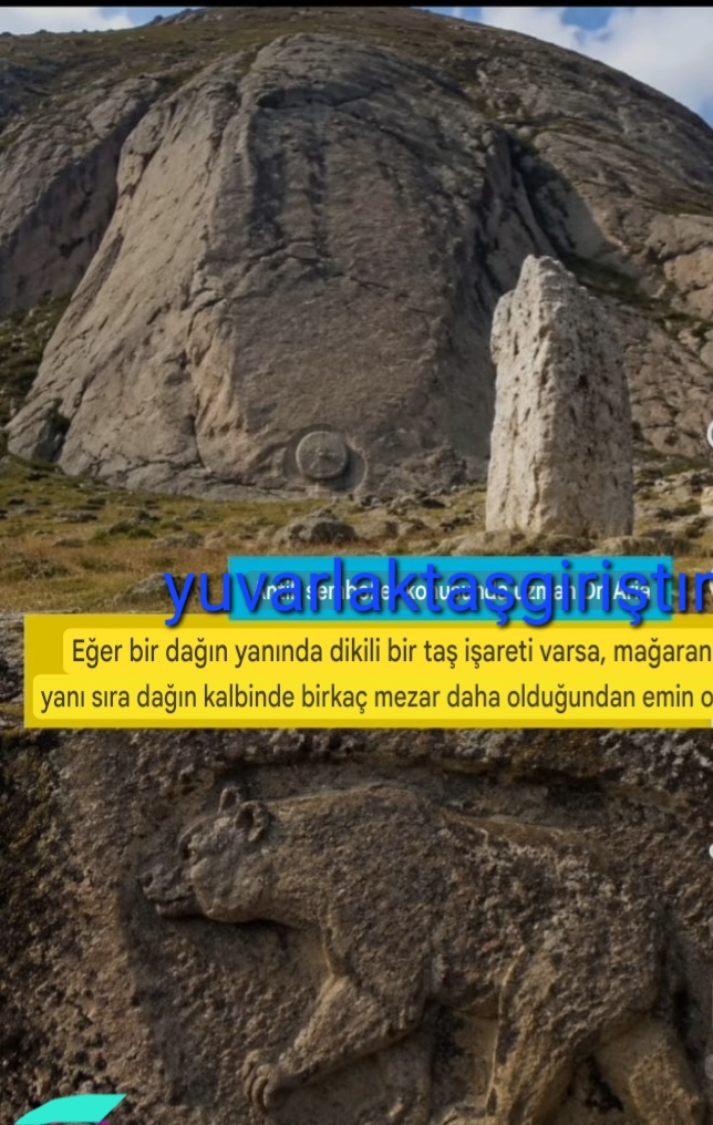 Screenshot_20260801-002359_Google.jpg
