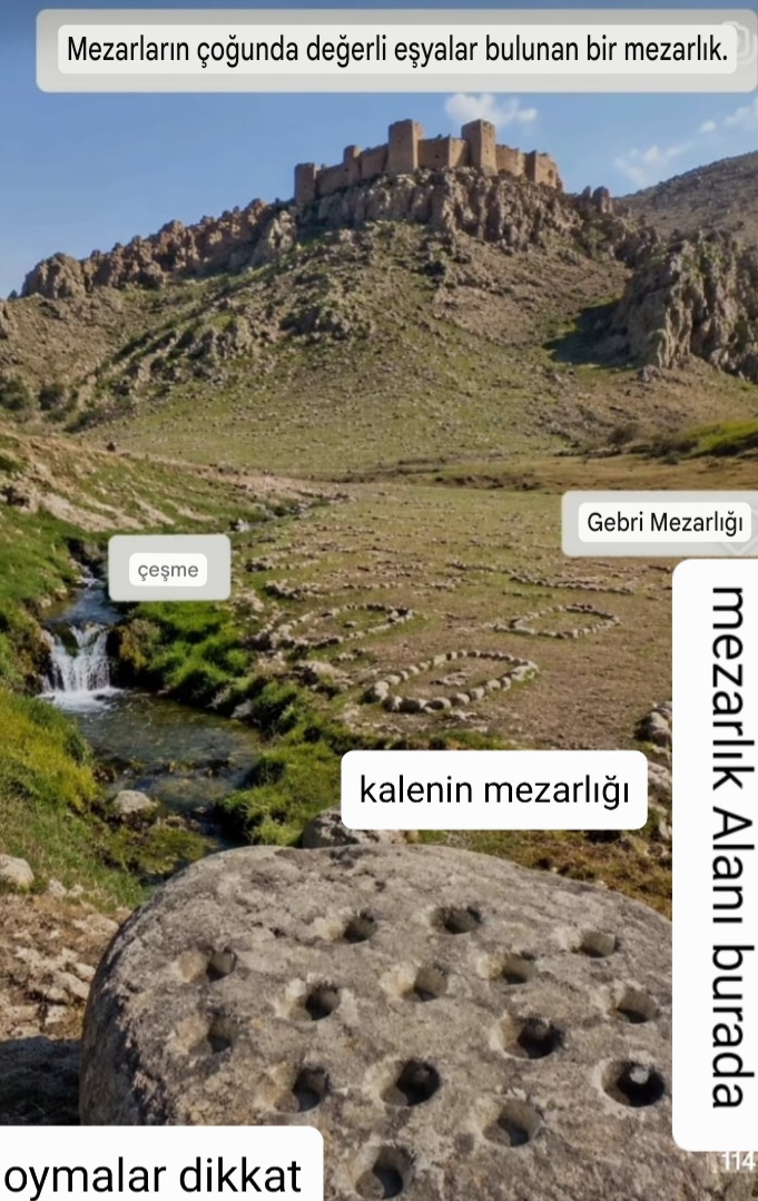 Screenshot_20260801-002703_Google.jpg