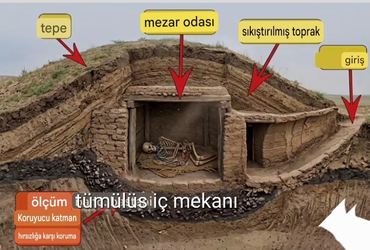 Screenshot_20260811-215630_Google.jpg