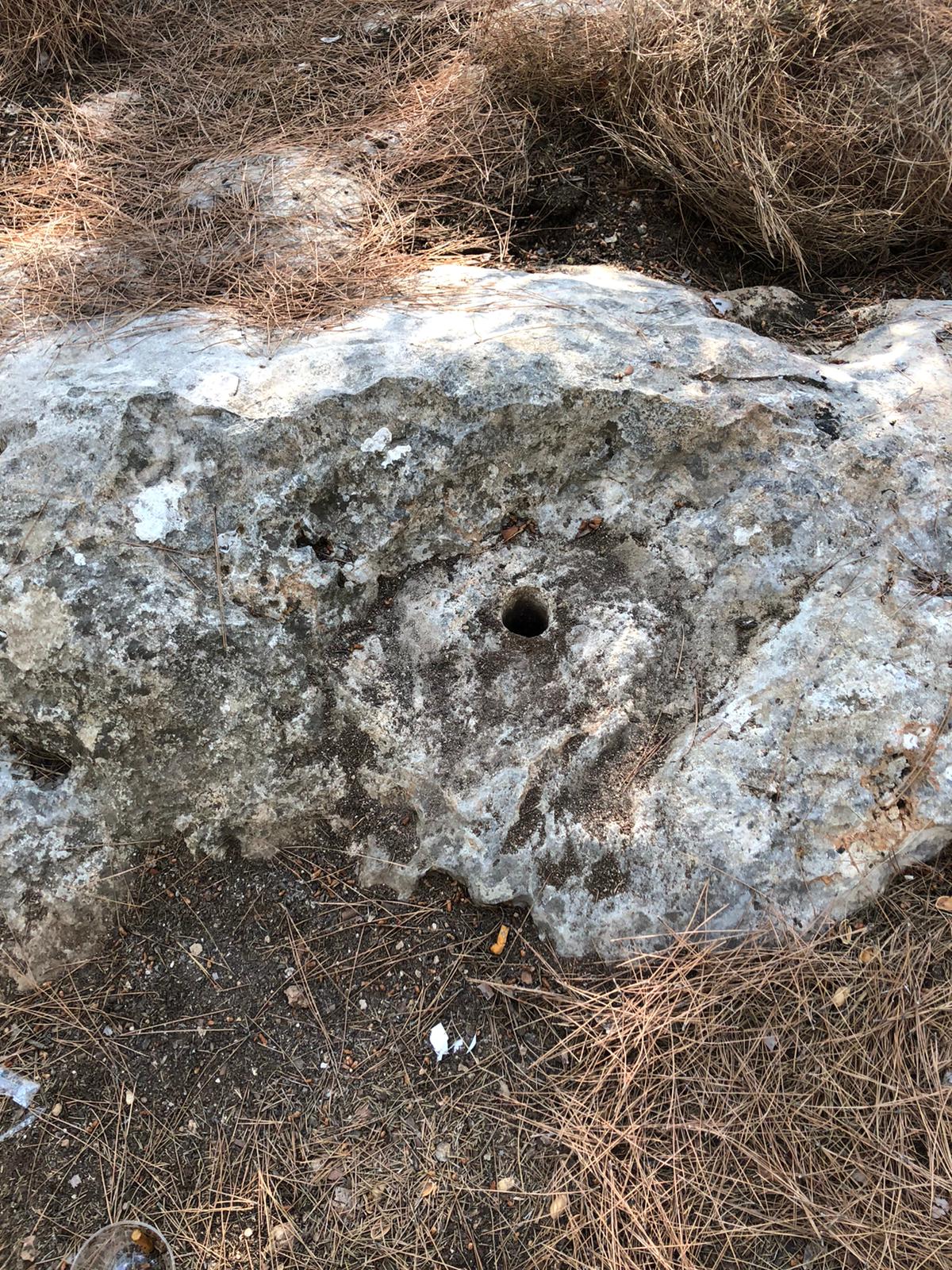 WhatsApp Görsel 2022-09-20 saat 19.25.23.jpg