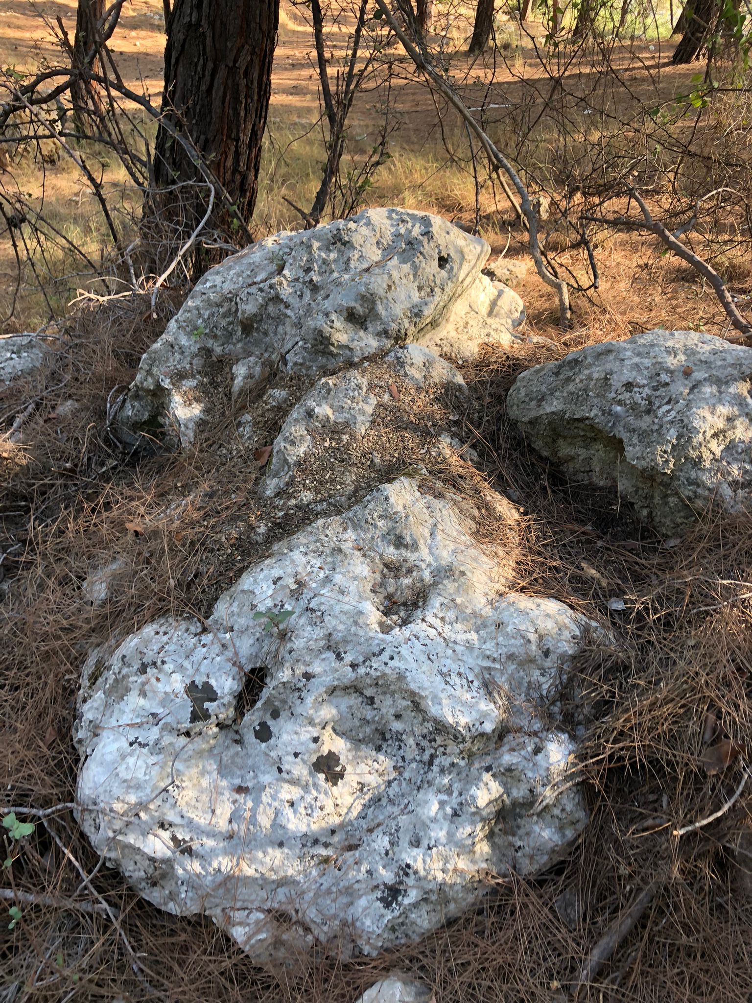 WhatsApp Görsel 2022-09-21 saat 12.38.35.jpg